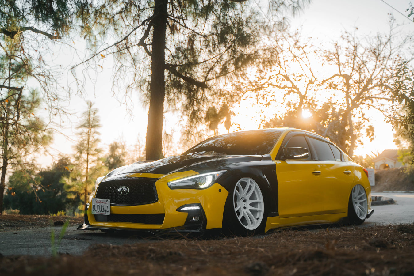 Strictly Q50 Carbon